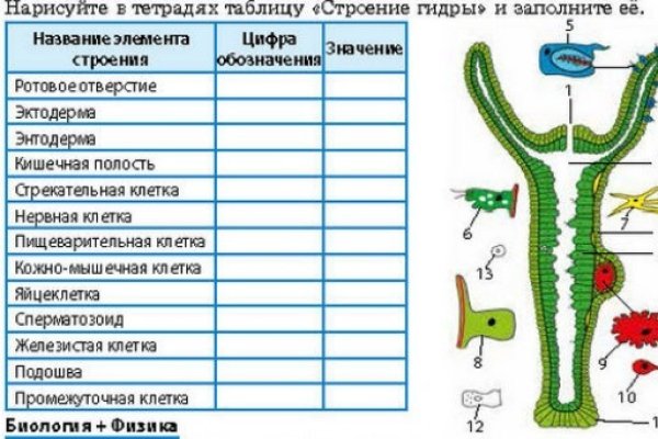 Кракен как зайти