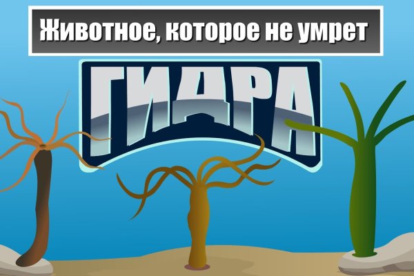 Кракен даркнет зайти