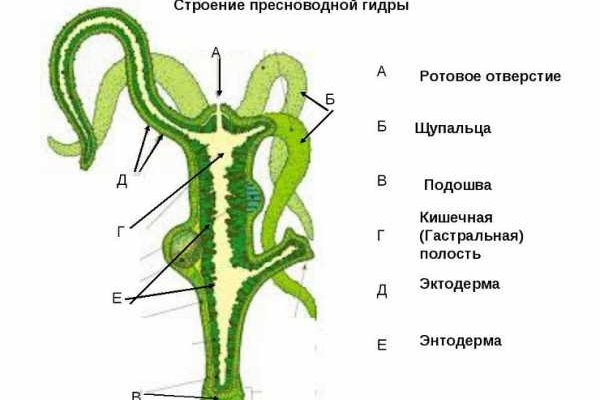 Tor зеркала