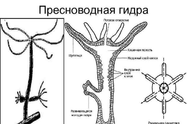 Кракен магазин даркнет